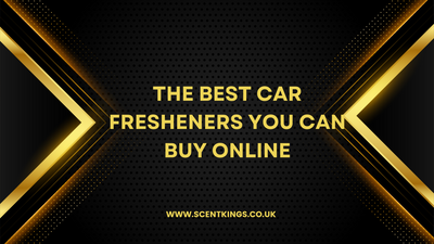 The Best Car Fresheners You Can Buy Online