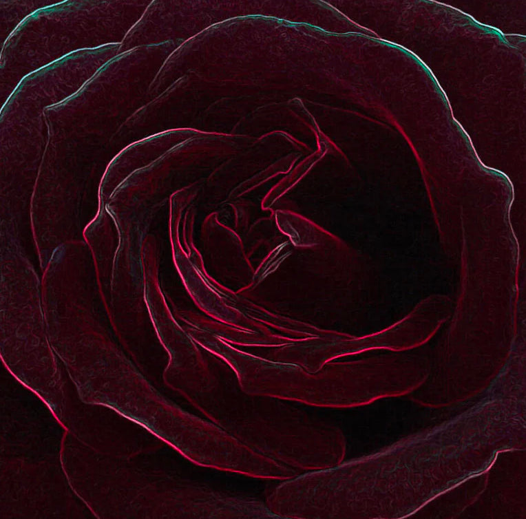 Velvet Rose and Oud